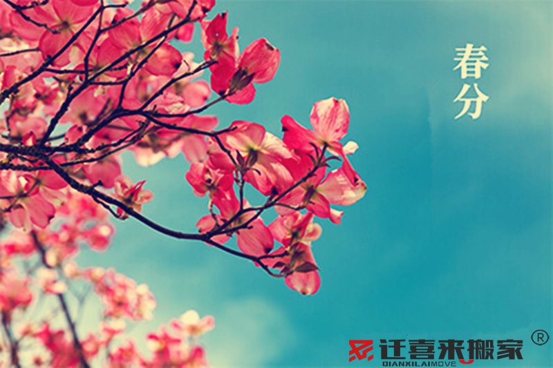 春分節氣.jpg