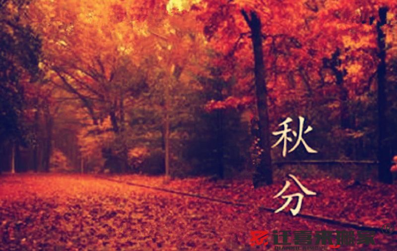 秋分節氣.jpg