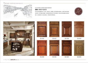 安徽實(shí)木門招商 柏林門業(yè) 產(chǎn)品畫冊展示系列
