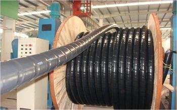 山東省德州市MKVV10*0.75生產基地 電線電纜技術開發與產業實踐